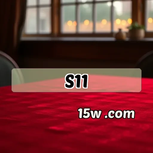 s11.com Segurança