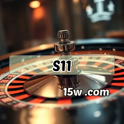 s11.com Suporte 24/7